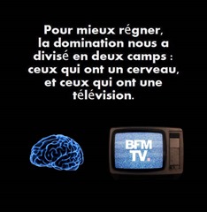 Cerveau-Télévision-383